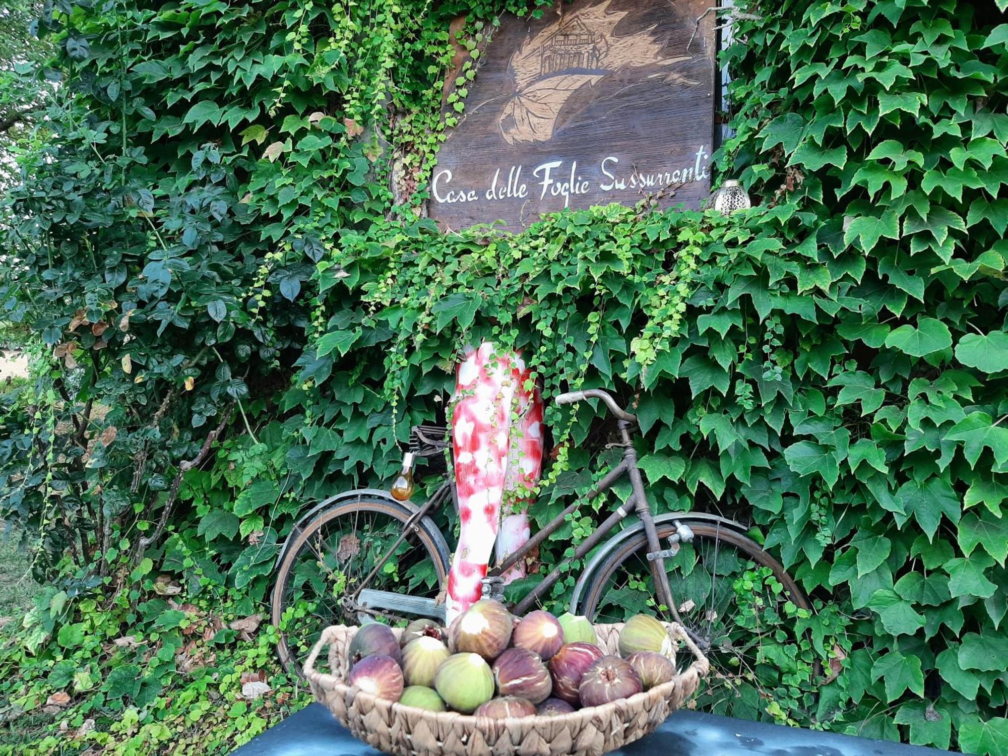 Villa Casa Delle Foglie Sussurranti Asti Exterior foto